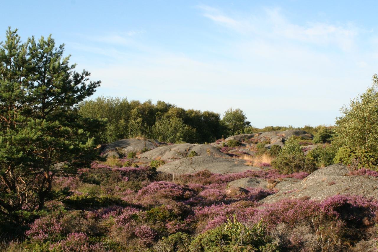 Stf Tofta Gard Orust *